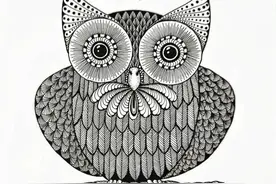 控线线描‖原创黑白线描画《“卤蛋”猫头鹰》图文版图片