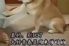 学霸分享：高中选科，生物或政治到底哪个会好学点？图片