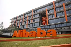 马云躲不了！7年了，蚂蚁森林欠几亿人的树该检查作业了图片