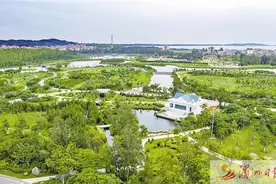 踔厉奋发乘势上——莆田湄洲岛深入学习贯彻落实市两会精神加快“一地三岛”建设图片