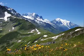 地球的“不祥之兆”！阿尔卑斯山正在变绿，但这却不是什么好事图片