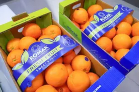 首批伊朗柑橘落地浦东机场，接下来还有沙漠产的苹果图片