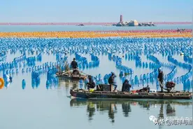 广东汕头：“描绘”多彩海上图景 渔旅融合推动牧场建设图片