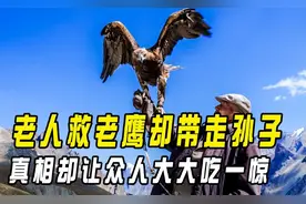 蒙古老汉救下受伤老鹰，细心照顾后将其放生，老鹰却叼走老汉孙子图片