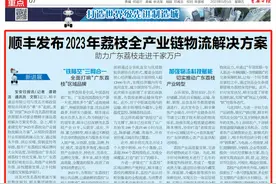 顺丰发布2023年荔枝全产业链物流解决方案 助力广东荔枝走进千家万户图片