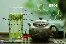 茶多酚可能导致肝毒，欧盟出台新规限制摄入，绿茶还能多喝吗？图片