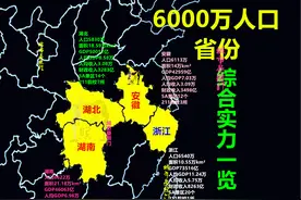 6000万人口省份全览：浙江一骑绝尘，湖北完胜湖南安徽图片