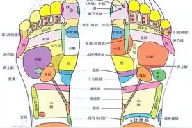 脚底几个反射区很重要图片
