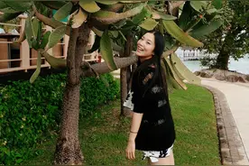 仙人掌养了20年，长成“仙人树”，挂满仙人果，好吃又值钱图片