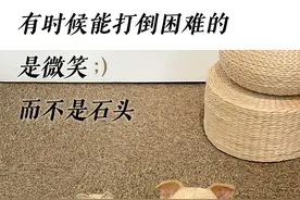 到过深圳福田、罗湖这5地，坐过这辆出租车的，请报备！图片