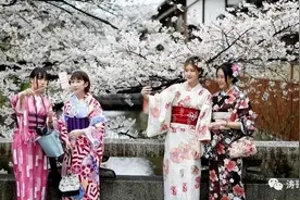穿和服上街有罪，那使用日本词汇岂不是要坐牢？图片