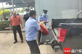 4米大蛇现身三亚，偷吃羊羔！蟒蛇在美国泛滥，为何我国要保护？图片