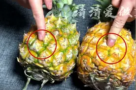 挑选菠萝时，只要看一眼这个位置，菠萝1个个又甜又多汁，不酸涩图片