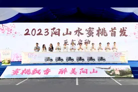 熟了！你要的阳山水蜜桃“官宣”甜蜜出发图片