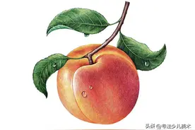 12张优质彩铅画临摹资料，简单易学图片