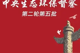 典型案例丨黑龙江哈尔滨何家沟、松浦支渠返黑返臭 大量污水未经处理排入松花江图片