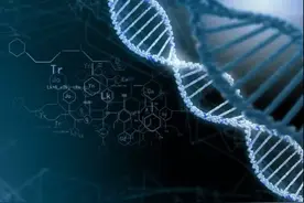 Y染色体最后一块拼图完成：男性不育病因有望完全破解图片