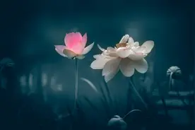 新题型：文言文阅读之多文本 断句主观题图片