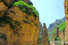 王群力去找徐宗涛求情图片