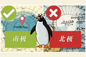 企鹅为何不能生活在北极？1936年，一位科学家将69只企鹅带到北极图片