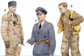 二战德国空军军服图册图片