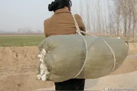 大姐，你在我心里，比咱亲娘还亲图片