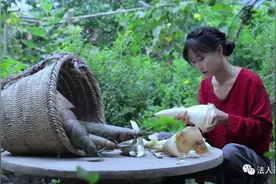 李子柒：童年是一首“跑调的歌”图片