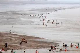 黄河的隐忧：鱼储量减少80%，现禁渔4年，千斤鱼王或可“返场”？图片