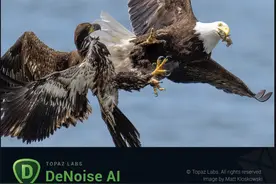 用这个 AI 降噪插件 镜头不用换！Topaz DeNoise3.6 完美效果 极致速度图片