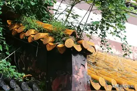 长沙一座古老的千年古刹，至今1700多年的历史，清净优雅明心见性图片