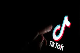 TikTok淘金记：现在知道TK+WA的这个玩法还不晚图片
