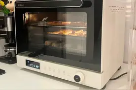 烤箱对于一般家庭来说有必要购买吗？如何避雷？能做哪些美食？图片