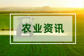 《中华人民共和国畜牧法》新旧对照表来了，自2023年3月1日起施行！图片