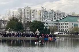 这是南京唯一有冬捕的小区图片