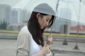 刘亦菲新剧《去有风的地方》故事梗概以及人物关系介绍图片