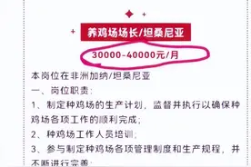 企业招人去非洲养鸡月薪4万，专家回应：如果是普通养殖人员，每月工资只有1000多元，但当地不加班图片