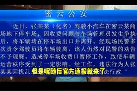 该拘拘、该判判！男子将车堵出口拒不挪车还挑衅，原因查明太冤枉图片