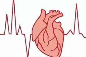心率的正常范围是多少？心率低怎么办？图片