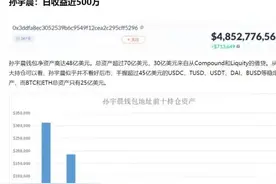 收入数百亿的孙宇晨，交了多少税？图片