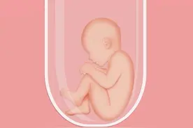 同性恋夫妻（拉拉）两年时间花了十多万终于结束了试管之路图片