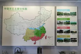 中国茶区主要分布图图片