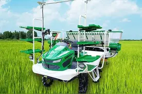 常发2ZG-6Y/2ZG-8Y25高速乘坐式插秧机性能参数图片