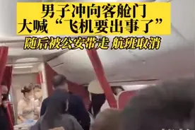 男子在航班上突然大喊“飞机要出事”，海航回应：已移交公安调查图片