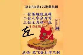 福彩3D第2022175期藏机图解析图片