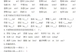 五年级语文下册（字、词、句）期末总复习题附答案图片