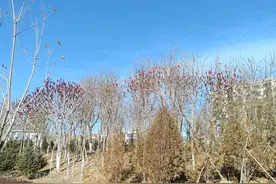 家和万事兴图片