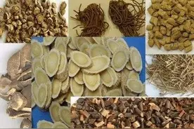 中药材如何采收？图片