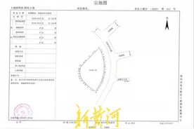 少林寺4.52亿元拿地，究竟念的什么“生意经”？图片