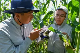 2018年山西闹蛇灾，数百条蛇一夜间离奇死亡，两名博士被派去调查图片