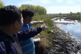鱼塘巨蟒事件：老乡开始以为是条大黑鱼，现身后迅速缠住老乡图片